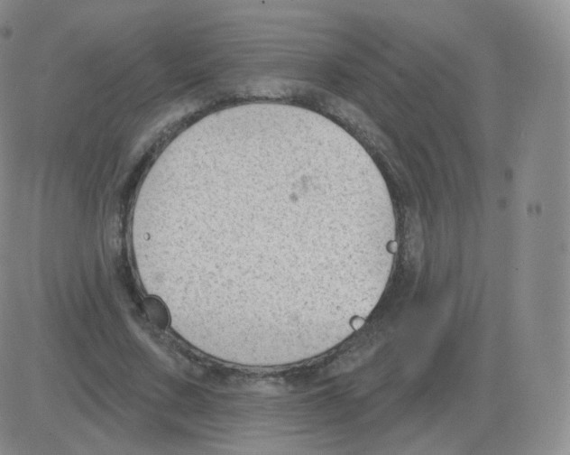 X0000082680683200702232138