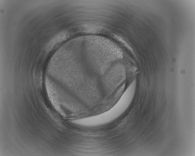 X0000082680685200702232138