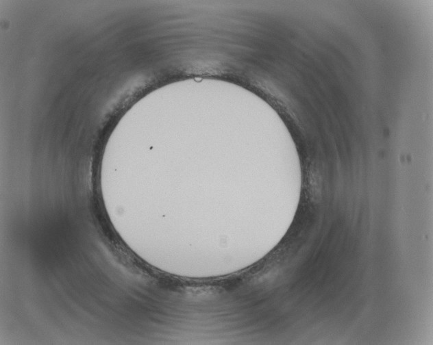 X0000082680686200702232138