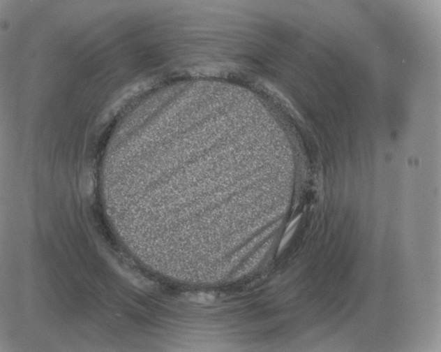 X0000082680687200702232138