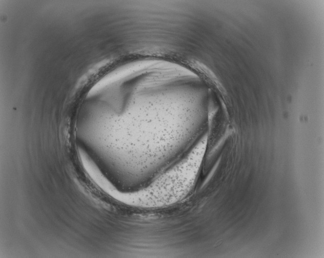 X0000082680688200702232138