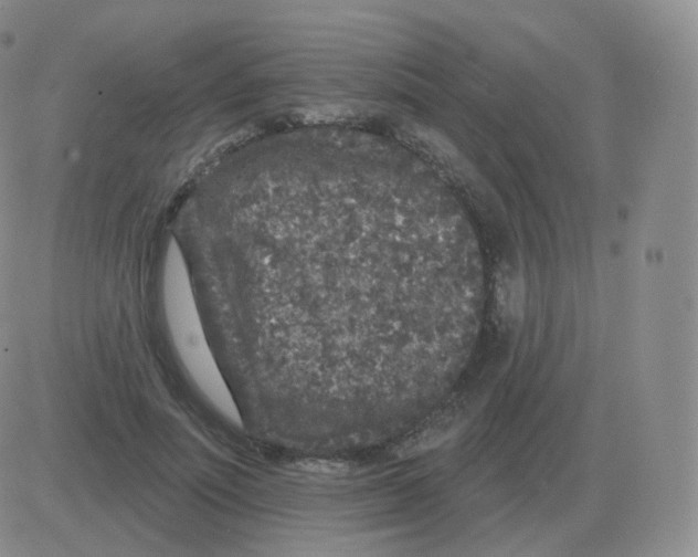 X0000082680691200702232138