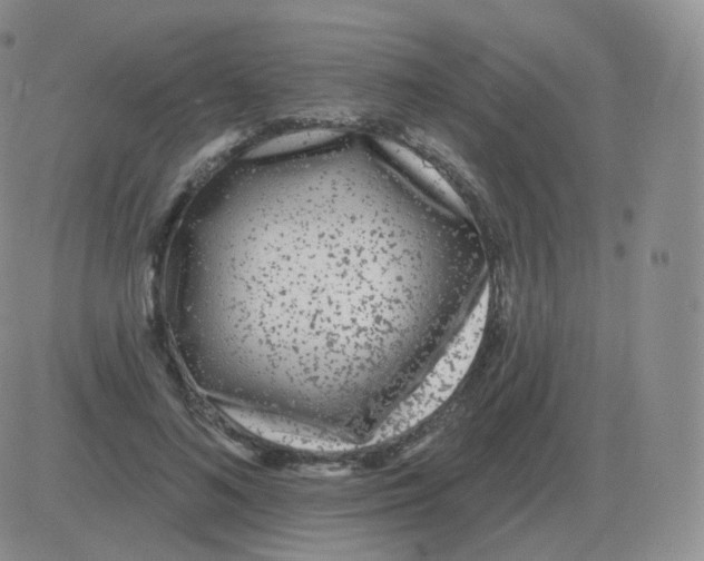 X0000082680692200702232138