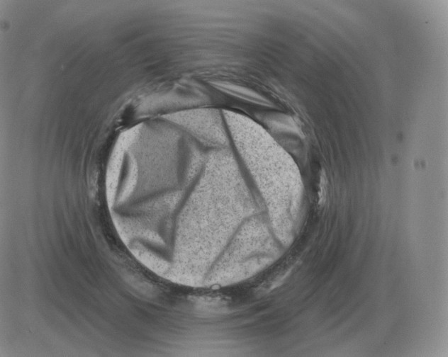 X0000082680693200702232138