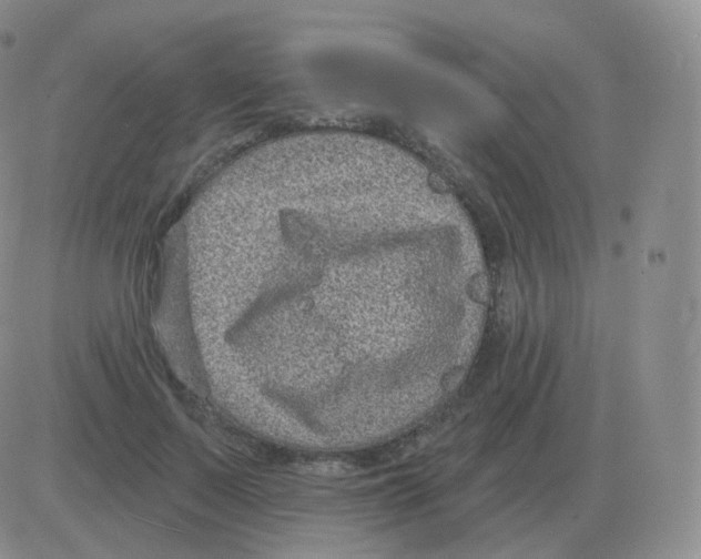 X0000082680695200702232138