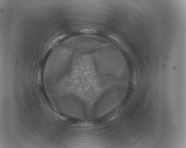 X0000082680696200702232138