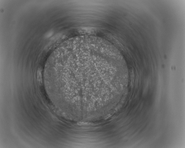 X0000082680699200702232138