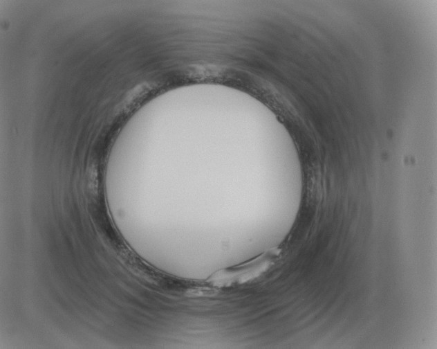 X0000082680700200702232138