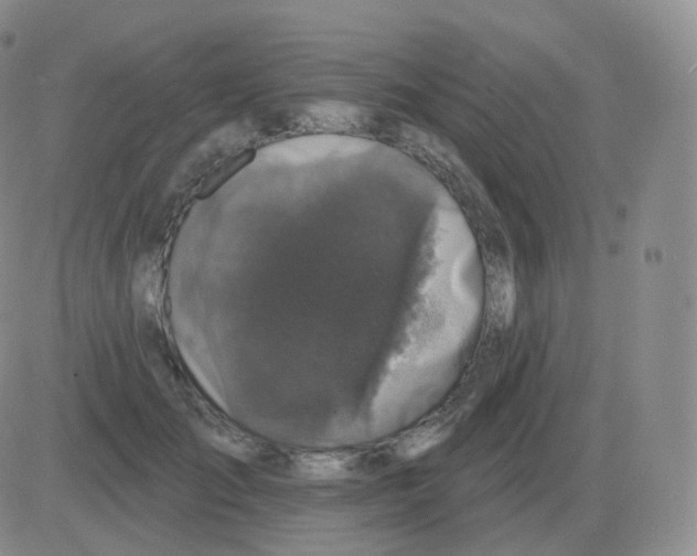 X0000082680701200702232138