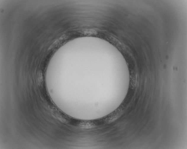 X0000082680704200702232138