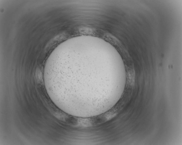 X0000082680705200702232138