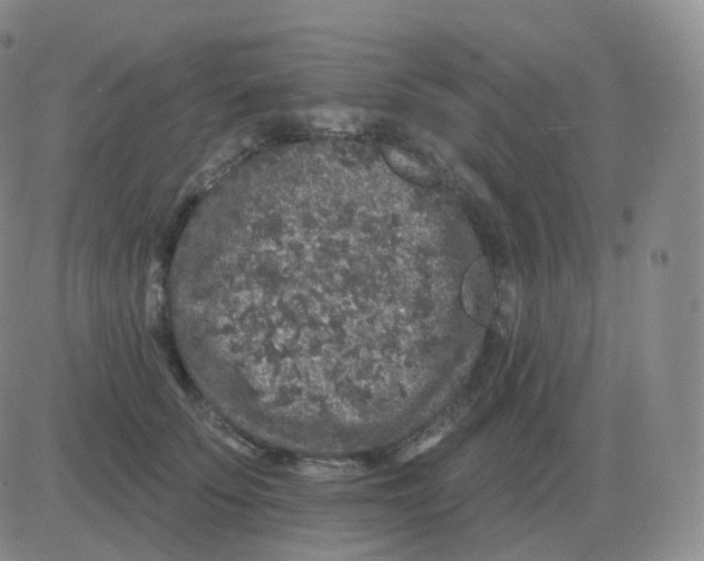 X0000082680707200702232138