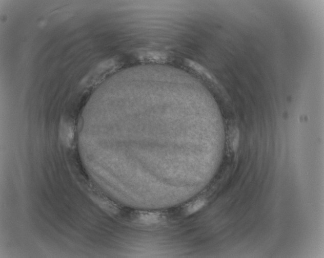 X0000082680709200702232138