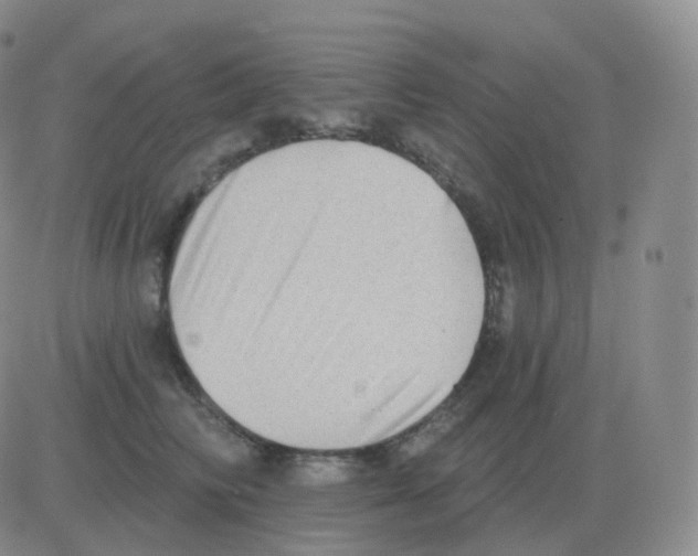 X0000082680710200702232138