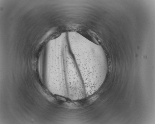 X0000082680712200702232138