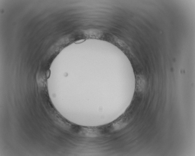 X0000082680713200702232138