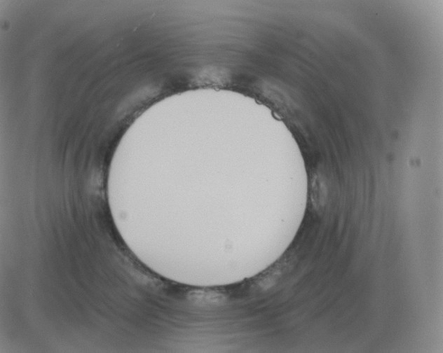 X0000082680714200702232138