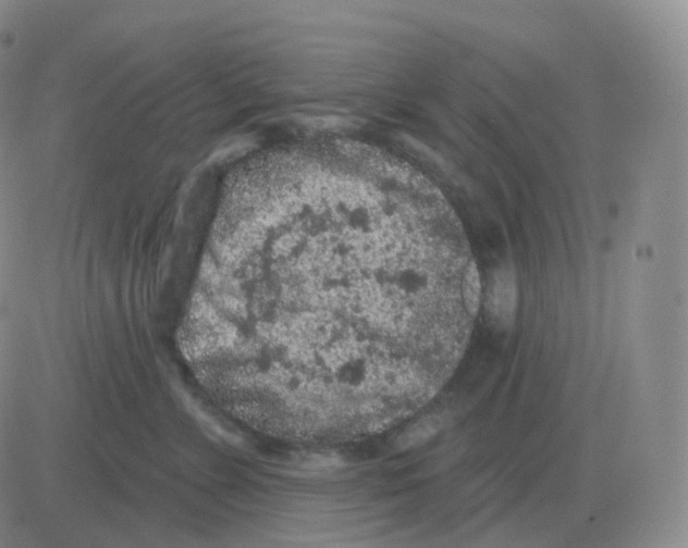 X0000082680715200702232138