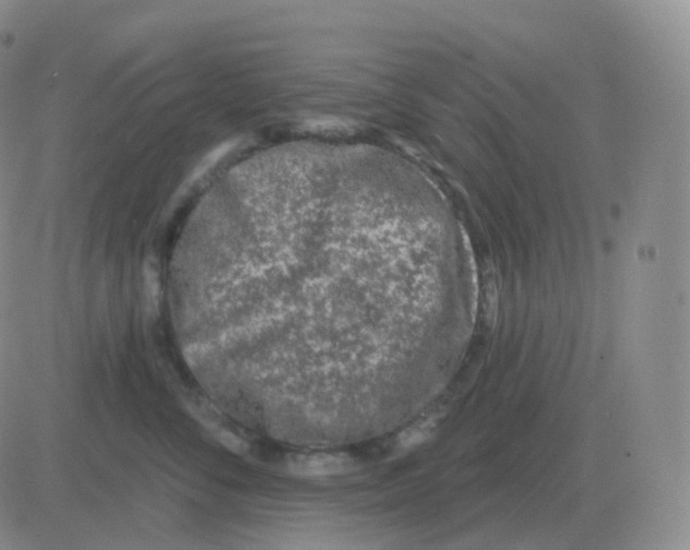 X0000082680716200702232138