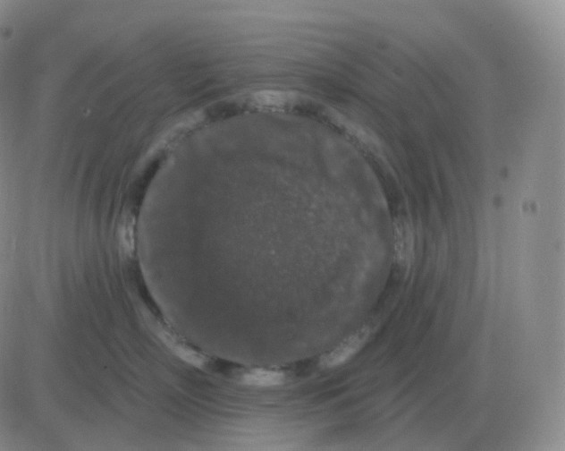 X0000082680718200702232138