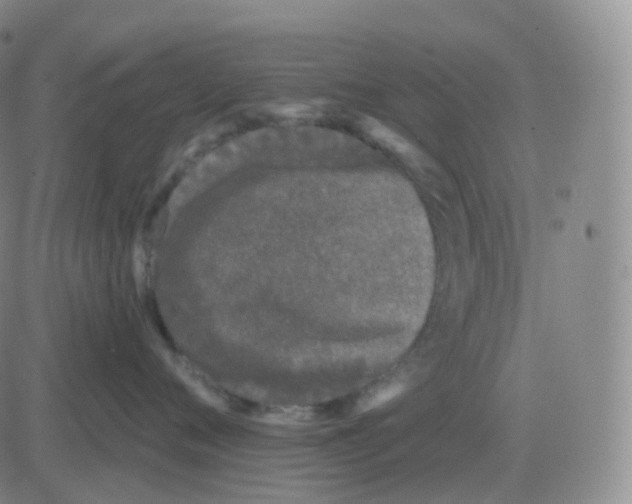 X0000082680720200702232138