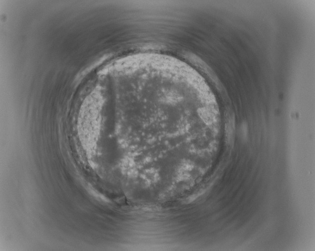 X0000082680721200702232137