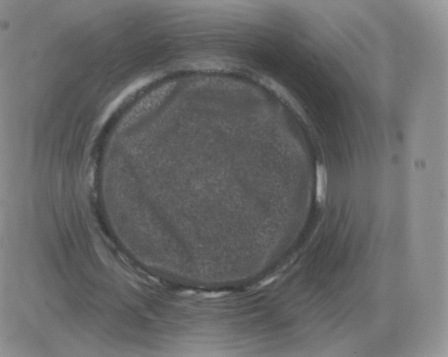 X0000082680723200702232137