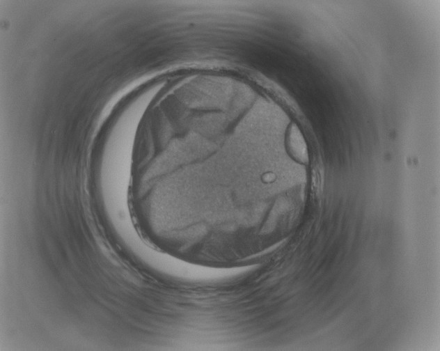 X0000082680724200702232137