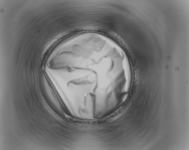 X0000082680725200702232137