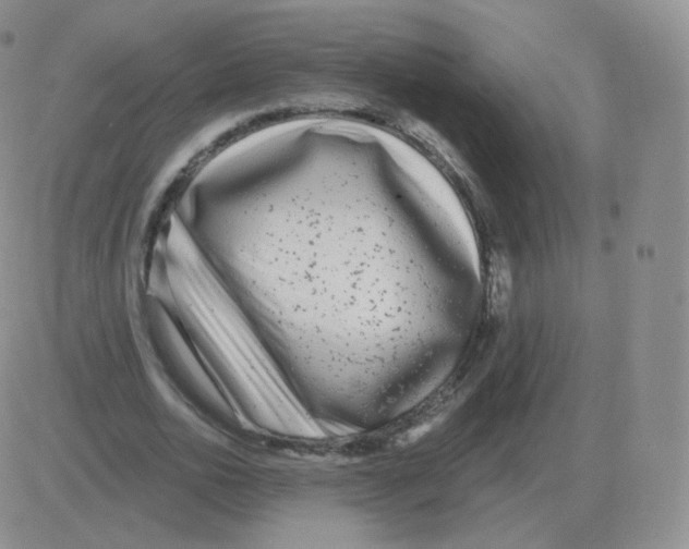 X0000082680726200702232137