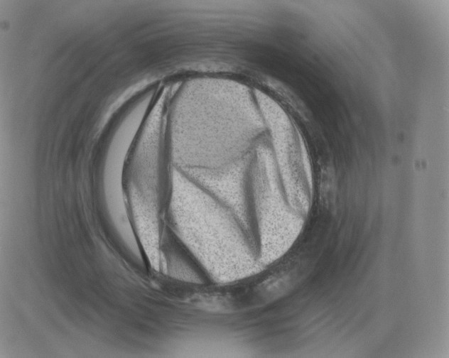 X0000082680727200702232137