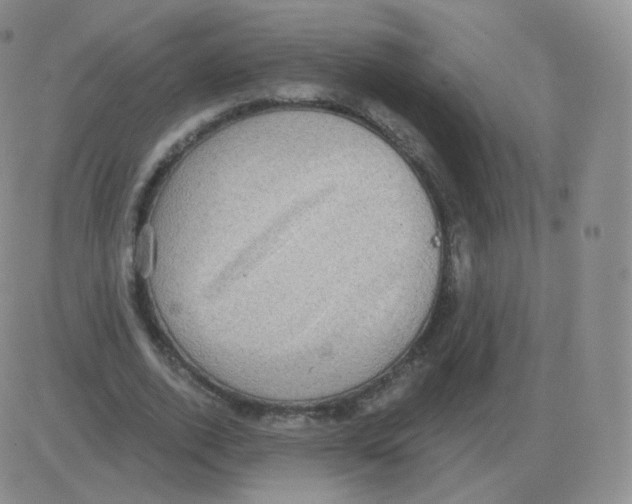 X0000082680728200702232137