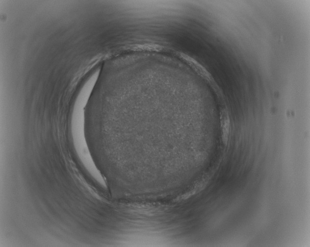 X0000082680729200702232137