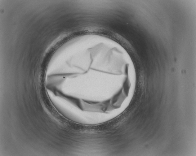 X0000082680730200702232137