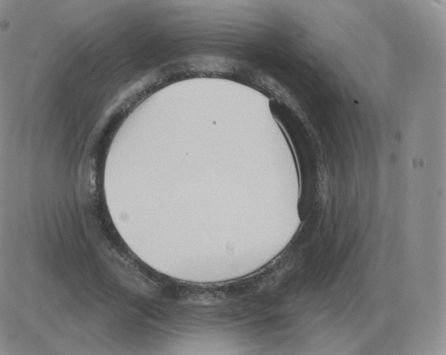 X0000082680731200702232137