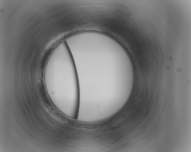 X0000082680732200702232137