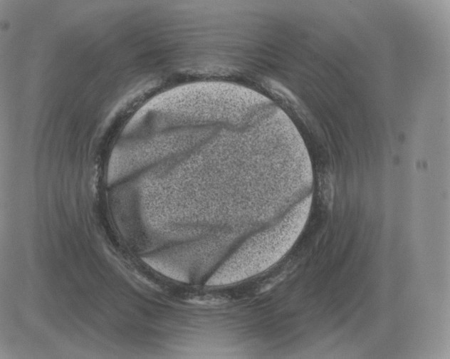 X0000082680735200702232137