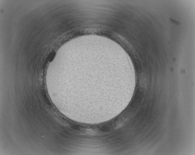 X0000082680737200702232137