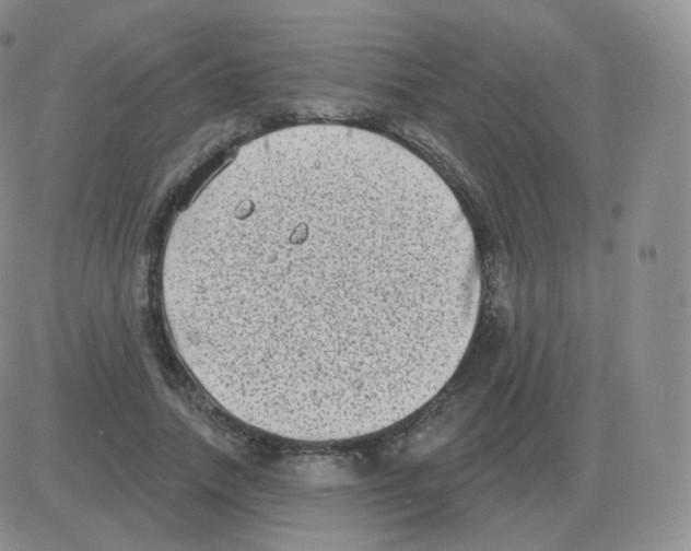 X0000082680738200702232137