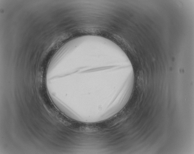 X0000082680739200702232137