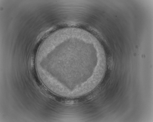 X0000082680740200702232137