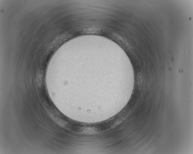 X0000082680741200702232137