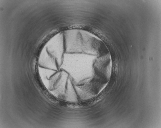 X0000082680742200702232137