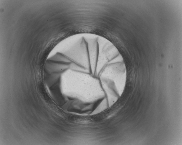 X0000082680743200702232137