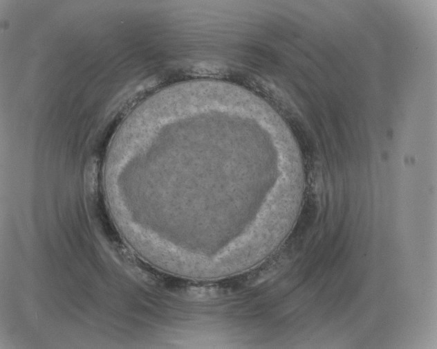 X0000082680744200702232137