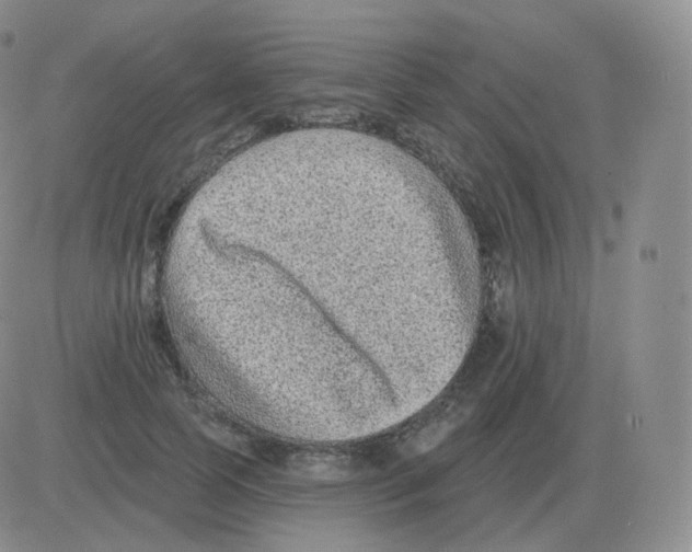 X0000082680745200702232137