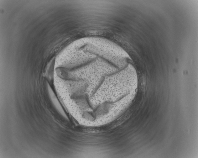 X0000082680746200702232137