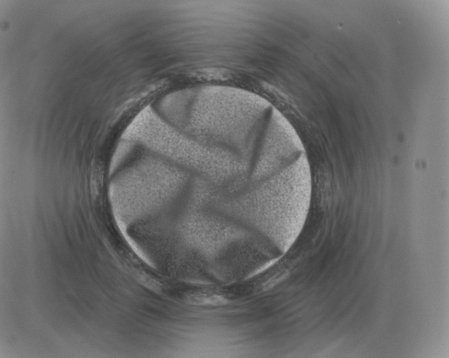 X0000082680747200702232137