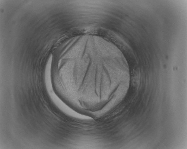 X0000082680748200702232137