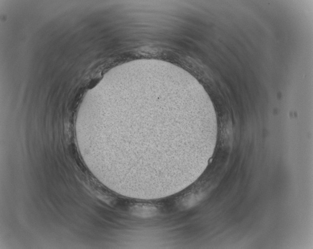 X0000082680749200702232137